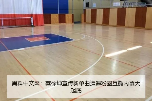 黑料中文网：蔡徐坤宣传新单曲遭遇粉圈互撕内幕大起底